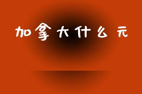 加拿大什么元_https://wap.sdxiaoxijinshu.com_财经_第1张