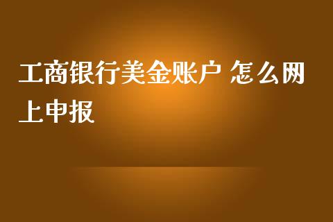 工商银行美金账户 怎么网上申报_https://wap.sdxiaoxijinshu.com_理财_第1张