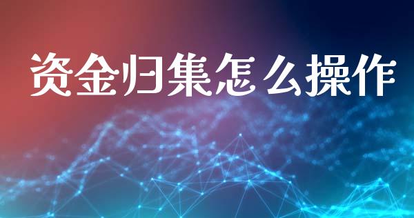 资金归集怎么操作_https://wap.sdxiaoxijinshu.com_金融_第1张