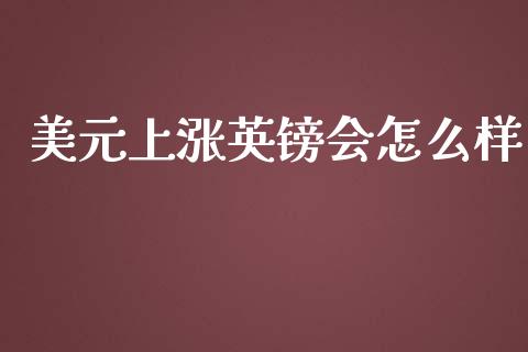 美元上涨英镑会怎么样_https://wap.sdxiaoxijinshu.com_财经_第1张