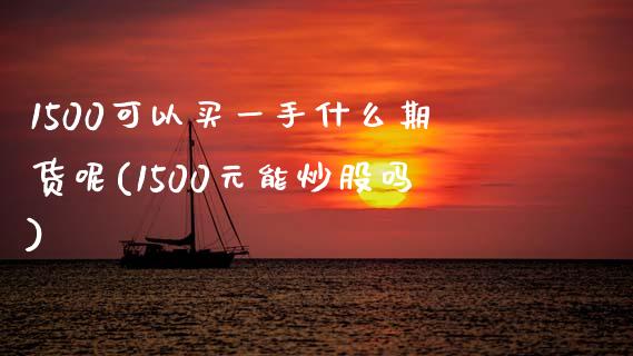 1500可以买一手什么期货呢(1500元能炒股吗)_https://wap.sdxiaoxijinshu.com_理财_第1张