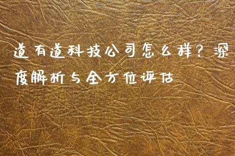 道有道科技公司怎么样？深度解析与全方位评估_https://wap.sdxiaoxijinshu.com_财经_第1张
