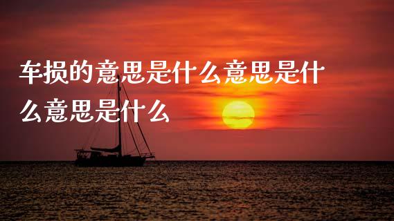 车损的意思是什么意思是什么意思是什么_https://wap.sdxiaoxijinshu.com_理财_第1张