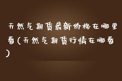 天然气期货最新价格在哪里看(天然气期货行情在哪看)_https://wap.sdxiaoxijinshu.com_金融_第1张