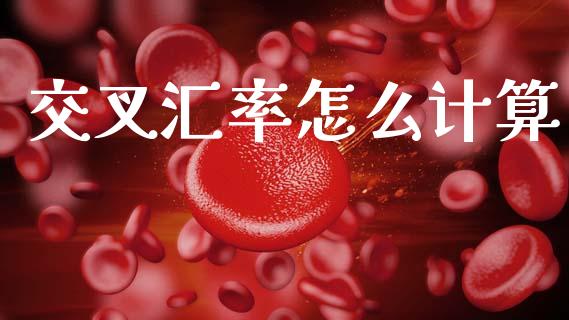 交叉汇率怎么计算_https://wap.sdxiaoxijinshu.com_期货_第1张