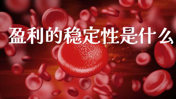 盈利的稳定性是什么_https://wap.sdxiaoxijinshu.com_期货_第1张