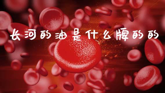 长河的油是什么牌的的_https://wap.sdxiaoxijinshu.com_理财_第1张