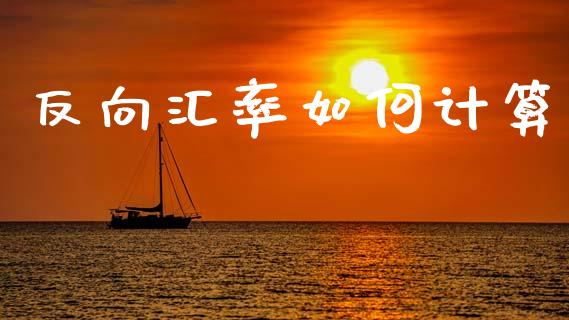 反向汇率如何计算_https://wap.sdxiaoxijinshu.com_财经_第1张