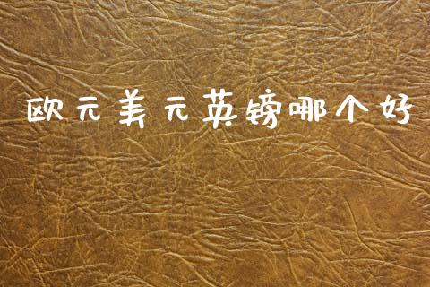 欧元美元英镑哪个好_https://wap.sdxiaoxijinshu.com_期货_第1张