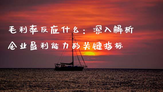 毛利率反应什么：深入解析企业盈利能力的关键指标_https://wap.sdxiaoxijinshu.com_理财_第1张