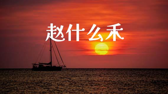 赵什么禾_https://wap.sdxiaoxijinshu.com_期货_第1张