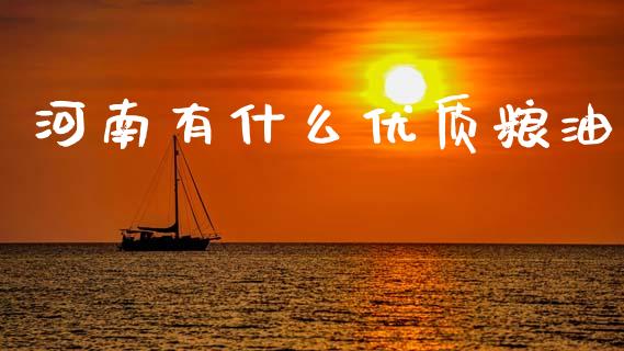 河南有什么优质粮油_https://wap.sdxiaoxijinshu.com_期货_第1张