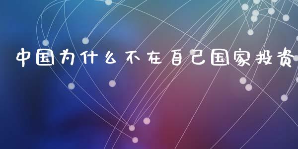 中国为什么不在自己国家投资_https://wap.sdxiaoxijinshu.com_理财_第1张
