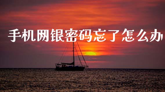 手机网银密码忘了怎么办_https://wap.sdxiaoxijinshu.com_期货_第1张