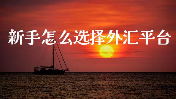 新手怎么选择外汇平台_https://wap.sdxiaoxijinshu.com_财经_第1张