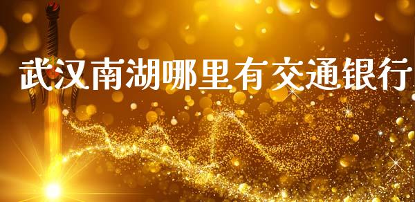 武汉南湖哪里有交通银行_https://wap.sdxiaoxijinshu.com_理财_第1张
