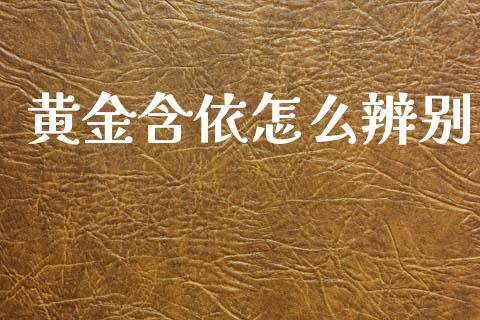 黄金含依怎么辨别_https://wap.sdxiaoxijinshu.com_财经_第1张