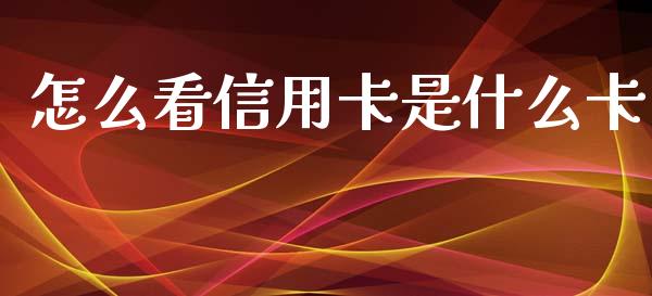 怎么看信用卡是什么卡_https://wap.sdxiaoxijinshu.com_金融_第1张