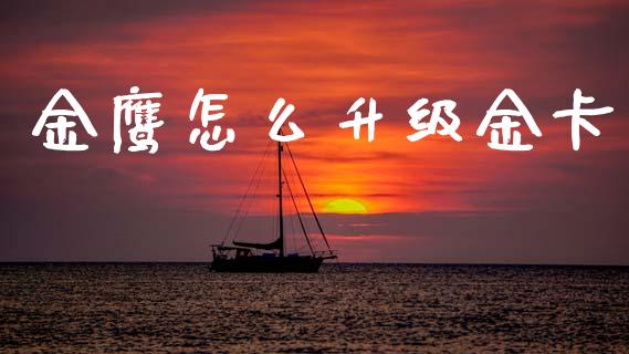 金鹰怎么升级金卡_https://wap.sdxiaoxijinshu.com_金融_第1张