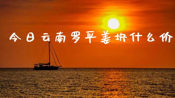 今日云南罗平姜块什么价_https://wap.sdxiaoxijinshu.com_期货_第1张