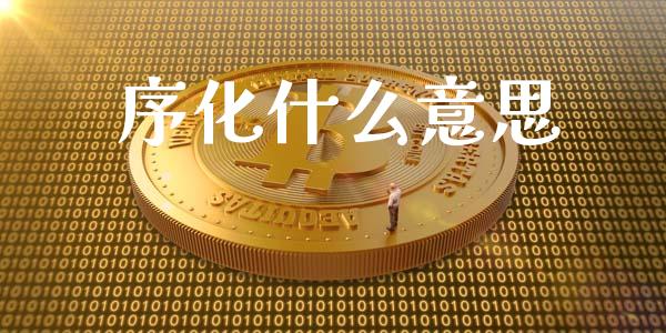 序化什么意思_https://wap.sdxiaoxijinshu.com_期货_第1张