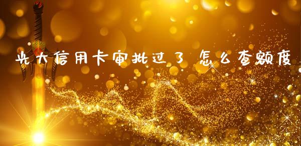 光大信用卡审批过了 怎么查额度_https://wap.sdxiaoxijinshu.com_财经_第1张