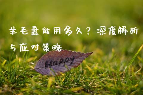 羊毛盘能用多久？深度解析与应对策略_https://wap.sdxiaoxijinshu.com_理财_第1张