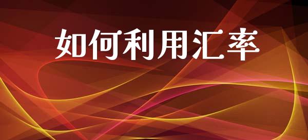 如何利用汇率_https://wap.sdxiaoxijinshu.com_财经_第1张
