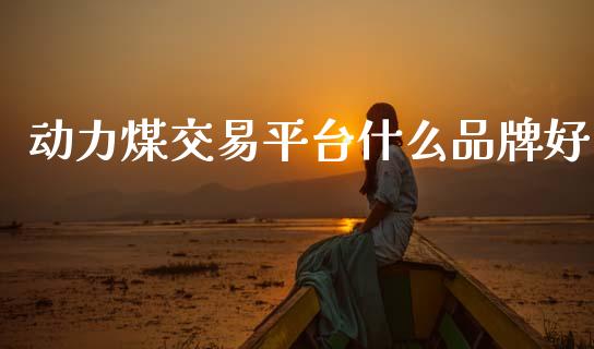 动力煤交易平台什么品牌好_https://wap.sdxiaoxijinshu.com_期货_第1张