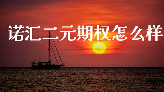 诺汇二元期权怎么样_https://wap.sdxiaoxijinshu.com_财经_第1张