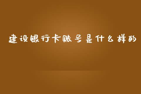 建设银行卡账号是什么样的_https://wap.sdxiaoxijinshu.com_理财_第1张