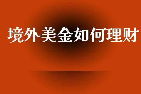 境外美金如何理财_https://wap.sdxiaoxijinshu.com_财经_第1张