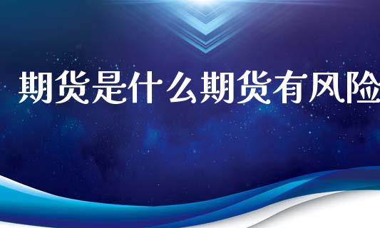 期货是什么期货有风险_https://wap.sdxiaoxijinshu.com_期货_第1张