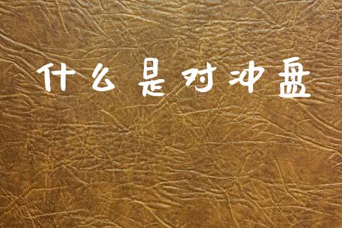 什么是对冲盘_https://wap.sdxiaoxijinshu.com_财经_第1张