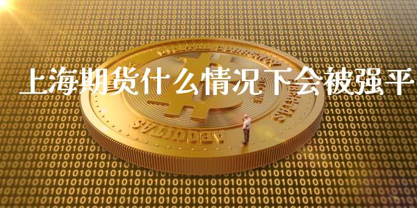 上海期货什么情况下会被强平_https://wap.sdxiaoxijinshu.com_期货_第1张