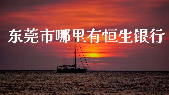 东莞市哪里有恒生银行_https://wap.sdxiaoxijinshu.com_理财_第1张