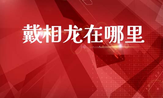 戴相龙在哪里_https://wap.sdxiaoxijinshu.com_理财_第1张