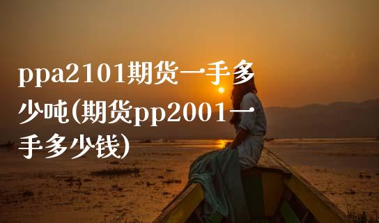 ppa2101期货一手多少吨(期货pp2001一手多少钱)_https://wap.sdxiaoxijinshu.com_金融_第1张