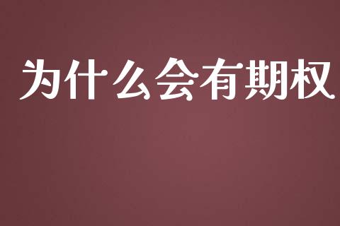 为什么会有期权_https://wap.sdxiaoxijinshu.com_期货_第1张