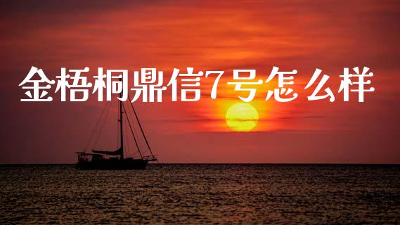 金梧桐鼎信7号怎么样_https://wap.sdxiaoxijinshu.com_金融_第1张