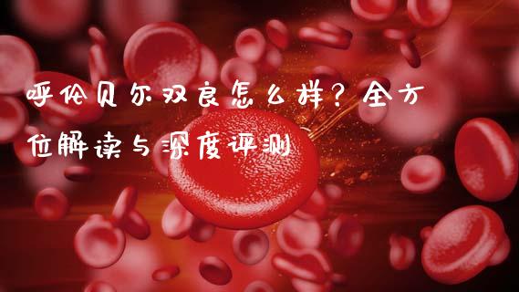 呼伦贝尔双良怎么样？全方位解读与深度评测_https://wap.sdxiaoxijinshu.com_期货_第1张