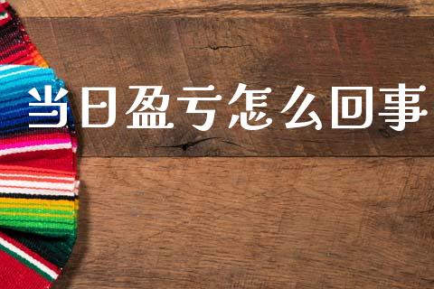 当日盈亏怎么回事_https://wap.sdxiaoxijinshu.com_期货_第1张