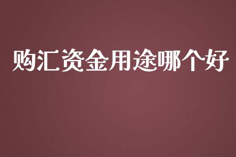 购汇资金用途哪个好_https://wap.sdxiaoxijinshu.com_财经_第1张