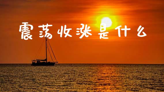 震荡收涨是什么_https://wap.sdxiaoxijinshu.com_期货_第1张