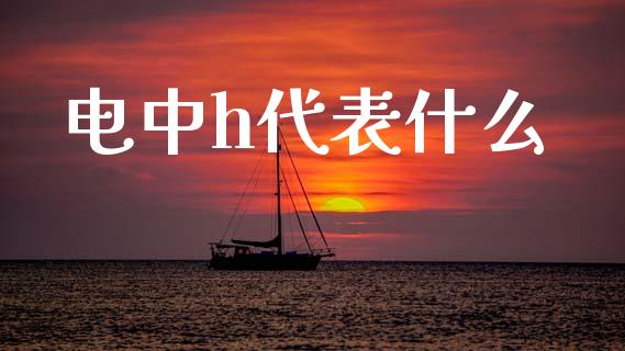 电中h代表什么_https://wap.sdxiaoxijinshu.com_金融_第1张