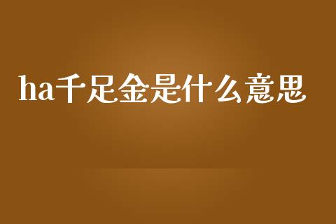 ha千足金是什么意思_https://wap.sdxiaoxijinshu.com_财经_第1张