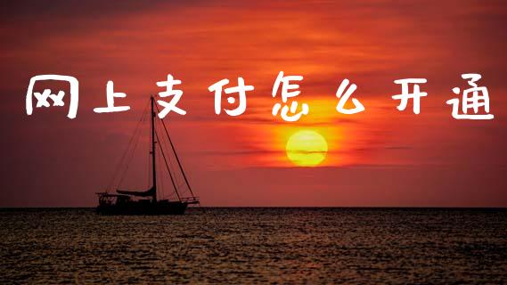 网上支付怎么开通_https://wap.sdxiaoxijinshu.com_金融_第1张