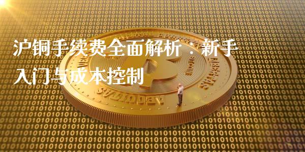 沪铜手续费全面解析：新手入门与成本控制_https://wap.sdxiaoxijinshu.com_期货_第1张