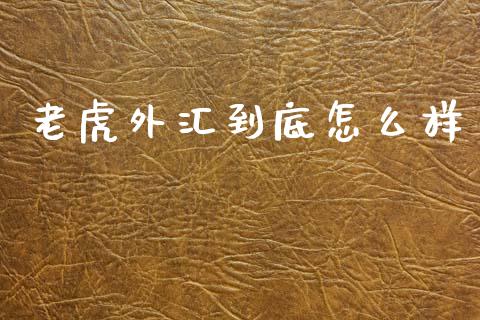 老虎外汇到底怎么样_https://wap.sdxiaoxijinshu.com_财经_第1张