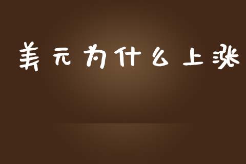 美元为什么上涨_https://wap.sdxiaoxijinshu.com_财经_第1张